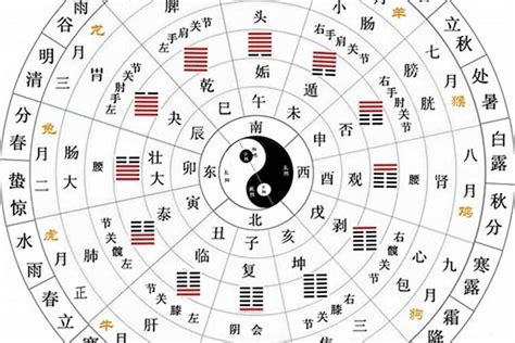 文昌五行|文昌星，五行属阳金，化气为文魁，司科甲之名，眉清目秀，多才。